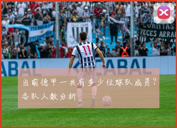 当前德甲一共有多少位球队成员？各队人数分析