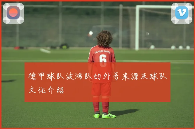 德甲球队波鸿队的外号来源及球队文化介绍