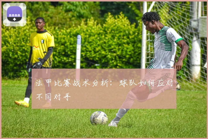 法甲比赛战术分析:球队如何应对不同对手