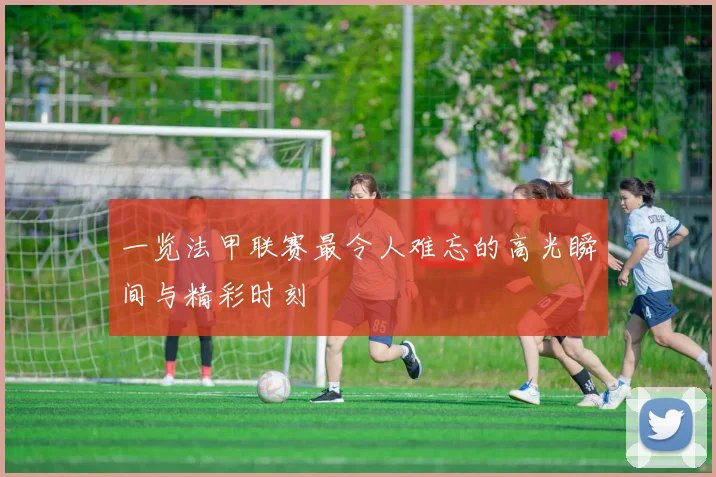 一览法甲联赛最令人难忘的高光瞬间与精彩时刻