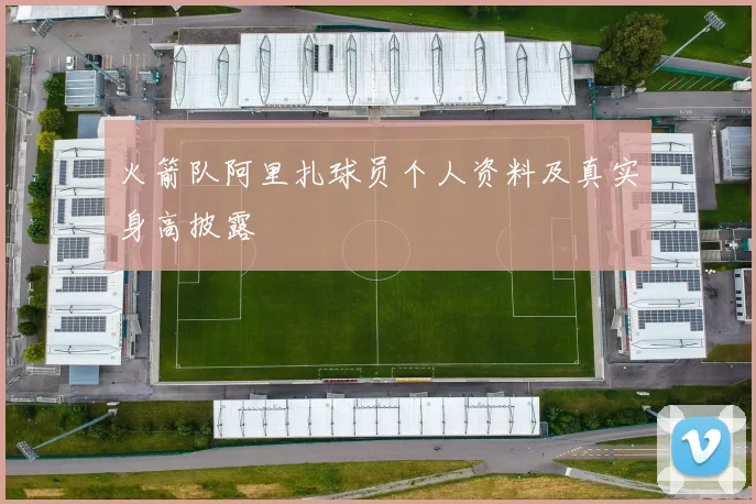 火箭队阿里扎球员个人资料及真实身高披露
