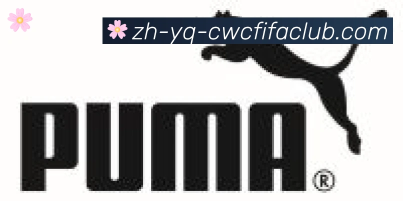 世界杯竞猜合作伙伴
